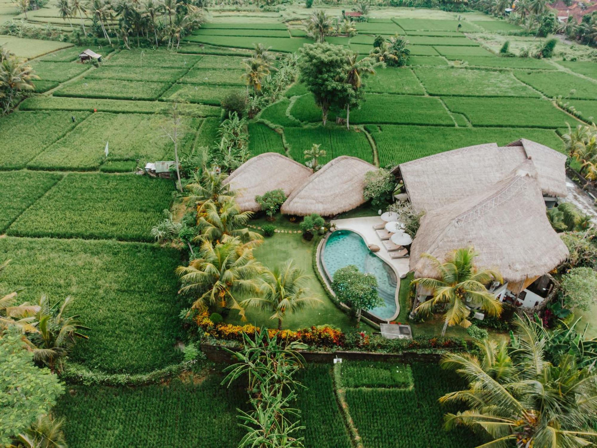 Villa Omah Padi Ubud Exterior foto